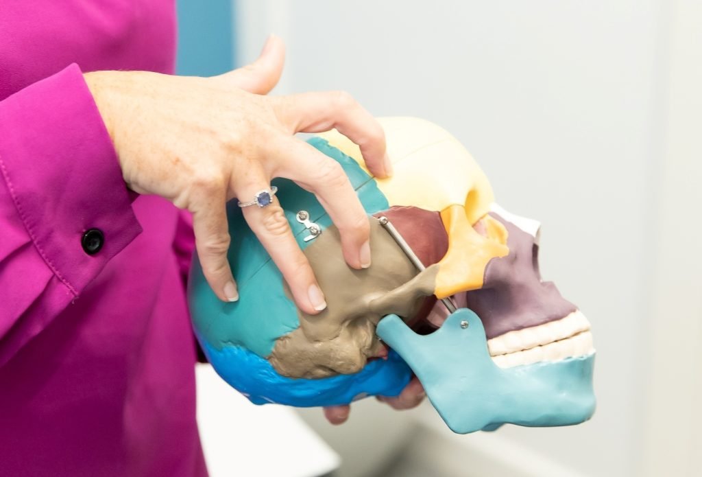 alt="Chiropractor Fiona holding a colourful anatomical skull model to explain the root cause of headaches and neck alignment to a patient."